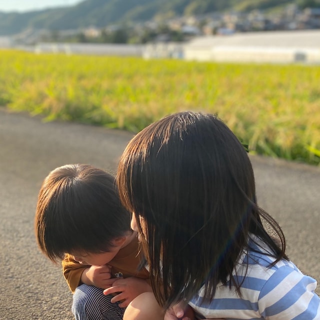 ぴっぴ