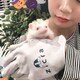 ciroのアイコン