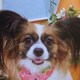 りりかのアイコン