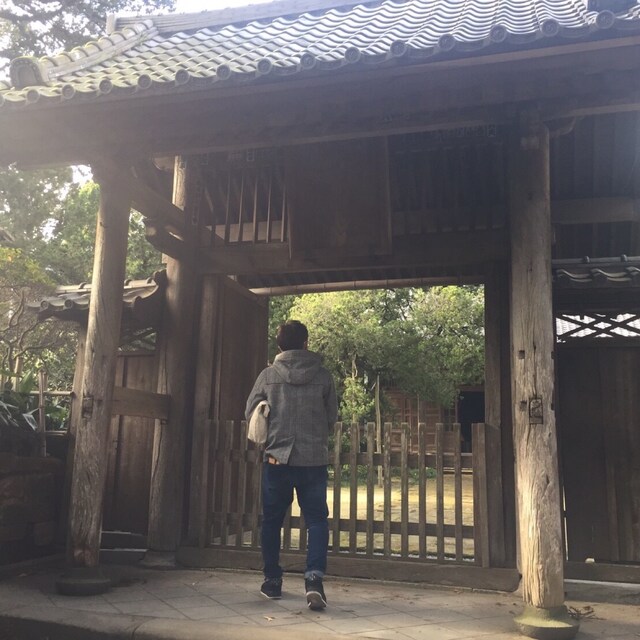 わんこ