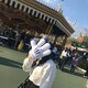 Mayu Nakamotoのアイコン