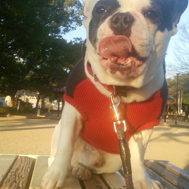 miyaaaaaaaaaa