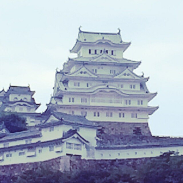 ヤンシ