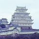 ヤンシのアイコン