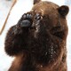 yeknomのアイコン