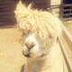 みみず。のアイコン