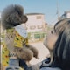 637☺︎︎のアイコン