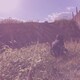あいりのアイコン