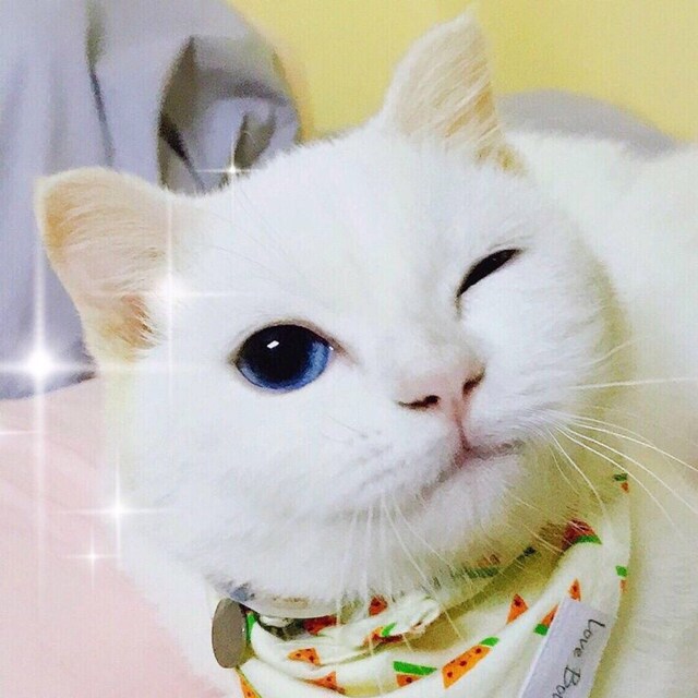常川贵之