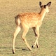 junjunのアイコン