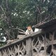 杨小屁桃君のアイコン