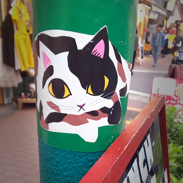 =(ΦωΦ)=