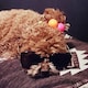 みーー( ´ ▽ ` )のアイコン