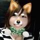 のさのアイコン