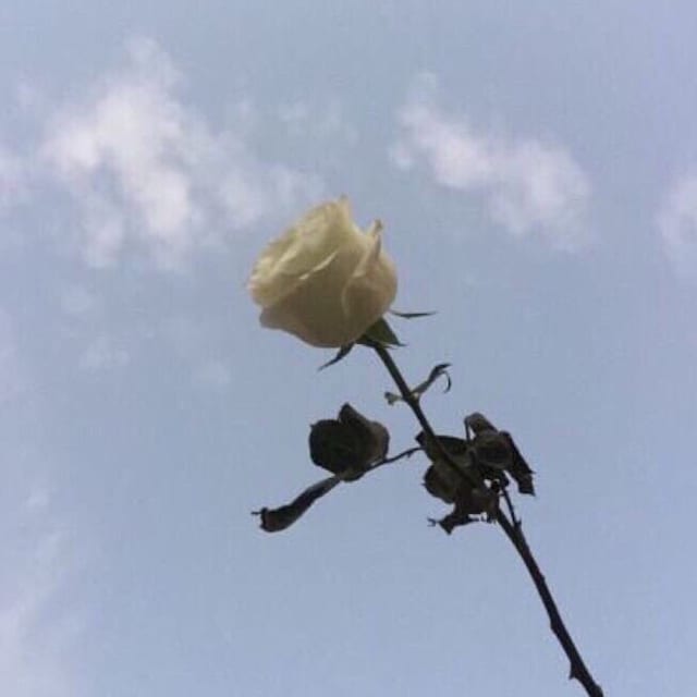 るぅ
