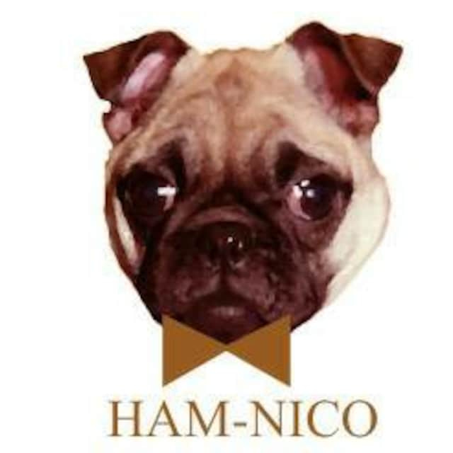 HAM-NICO