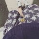 SAORI（´-`）のアイコン