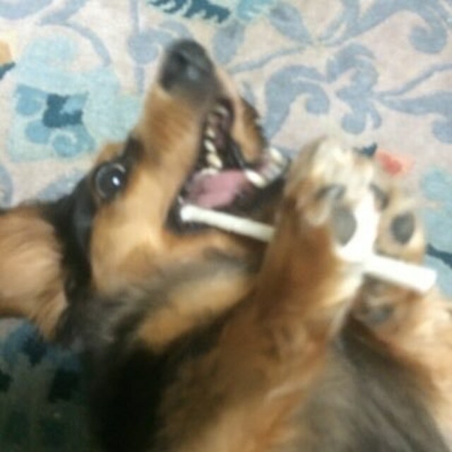 遠藤嘉之