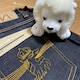 つすのアイコン