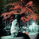 Joan_Lcのアイコン