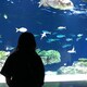 ぴろのアイコン
