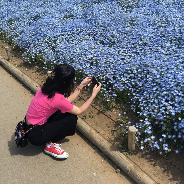 あいか
