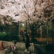 まるこのアイコン