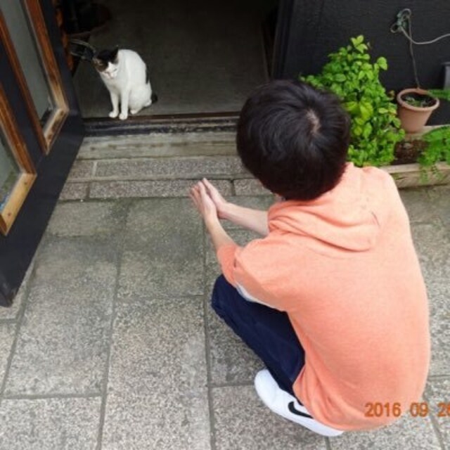 ゆすーけ