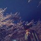 たかたりのアイコン