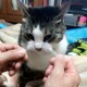 高校生のアイコン