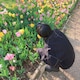 Mayのアイコン