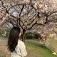 yumi のアイコン