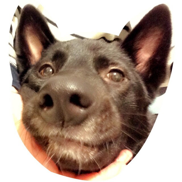 misattuuu