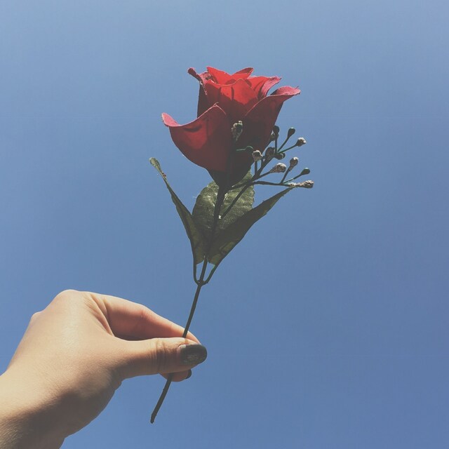 엔 。