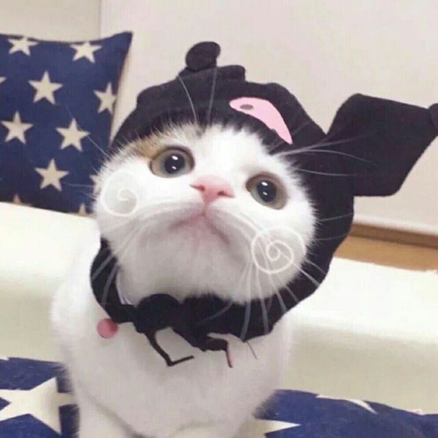 头头y