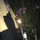 hanaのアイコン