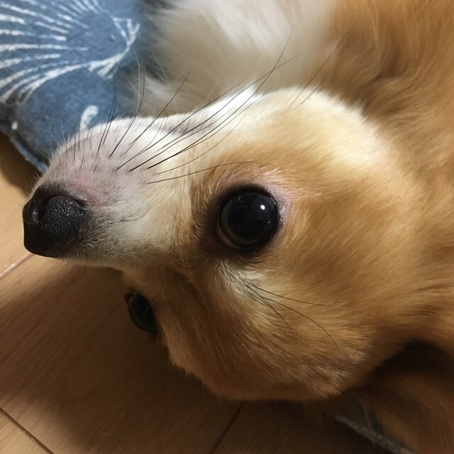  Yuki¨̮♡