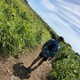 pのアイコン