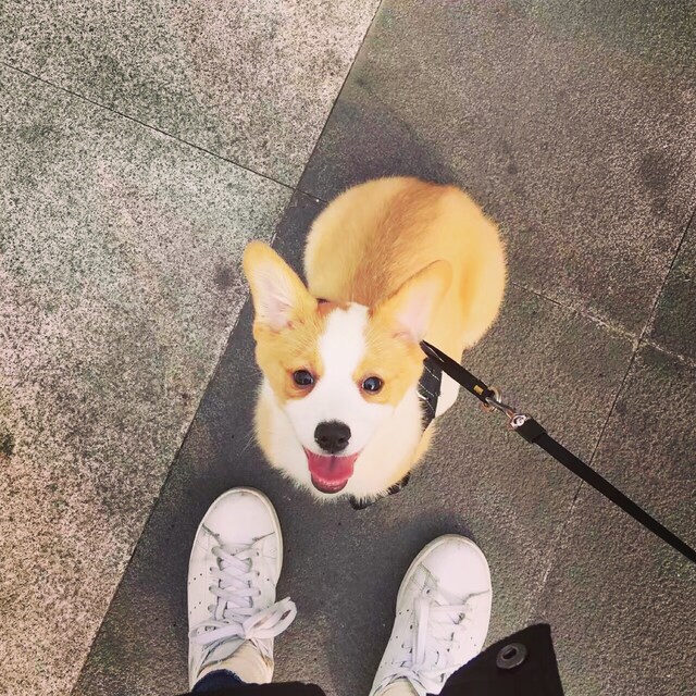 穆勒君