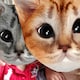hnt.のアイコン
