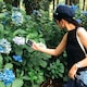 hkrのアイコン