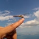 じげのアイコン