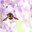 bumblebeeのアイコン