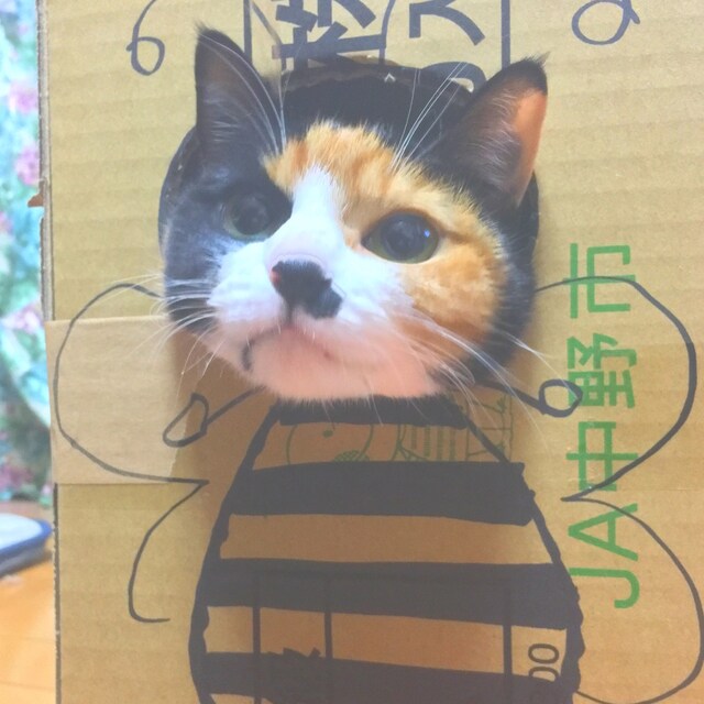 なお
