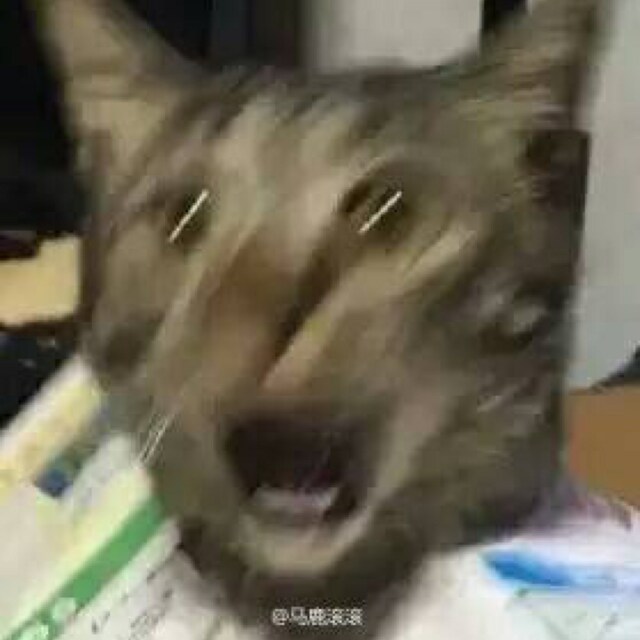 chiu
