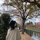 aoのアイコン