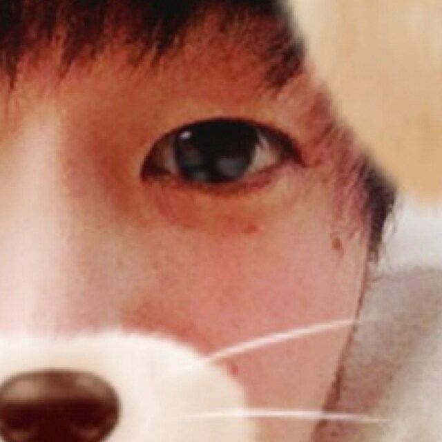 げん