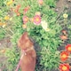 izumiのアイコン