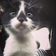 OTSUMAMIのアイコン