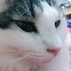 みゆきのアイコン